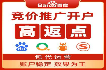 sem竞价托管代运营的实战技巧与案例